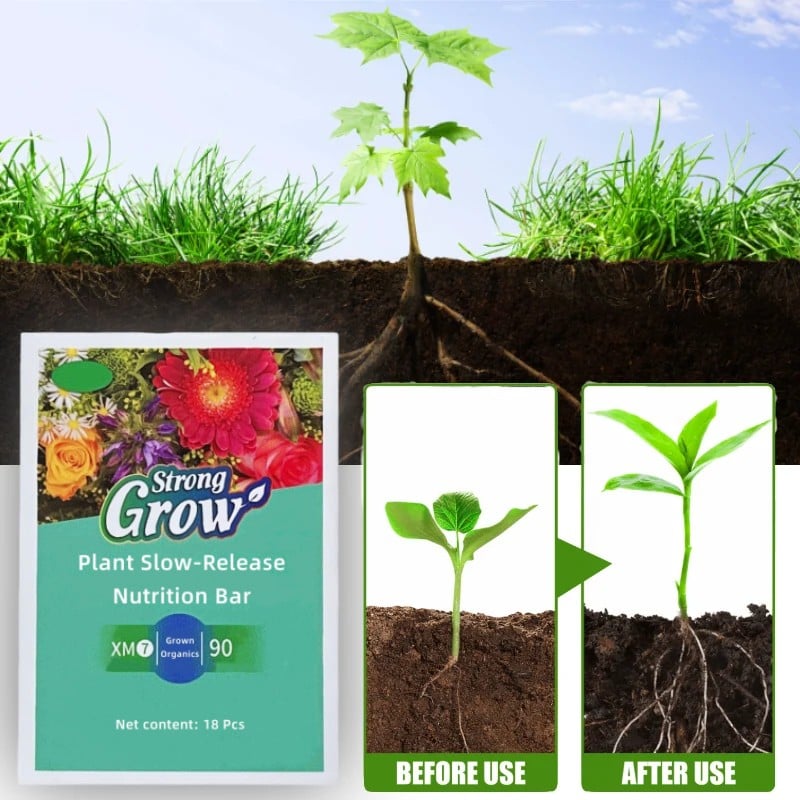 Plant Fertilizer Sticks – Long-Lasting Fertilizer for Healthy Growth Homezys