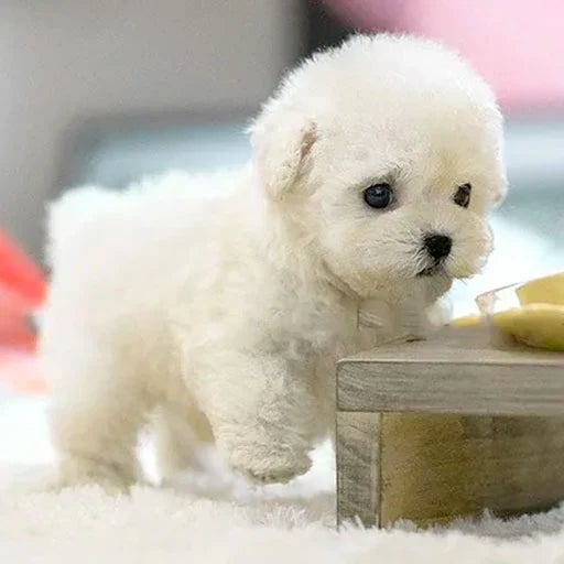Ultra-Realistic Robotic Puppy – No Feeding, No Walking, Just Pure Fun Homezys