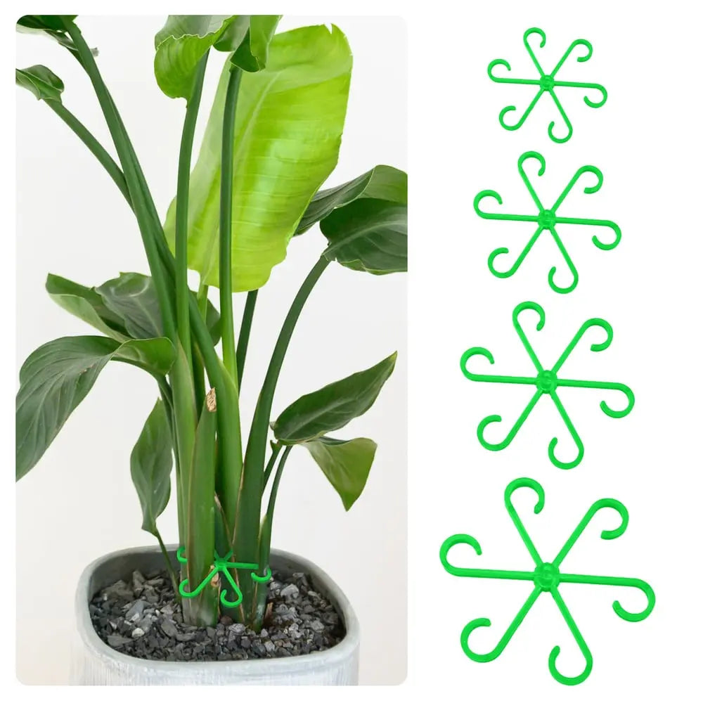 Plant Stem Stabilizer Set – For Healthy Growth & Secure Support Homezys