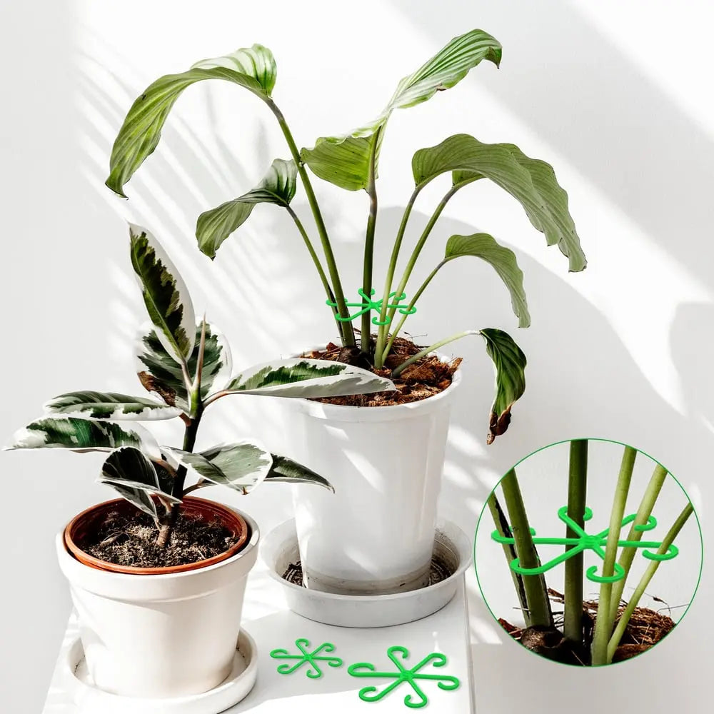 Plant Stem Stabilizer Set – For Healthy Growth & Secure Support Homezys