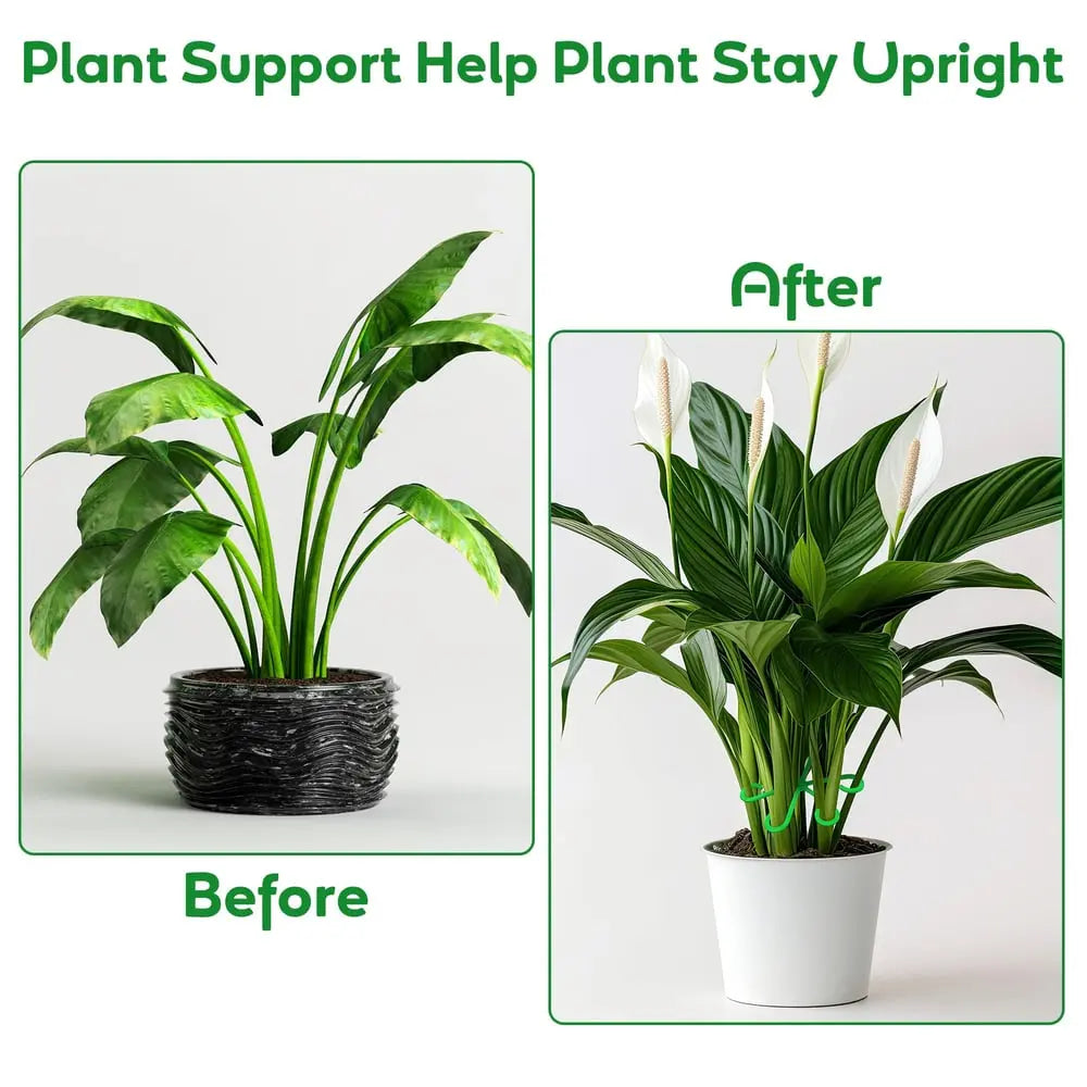 Plant Stem Stabilizer Set – For Healthy Growth & Secure Support Homezys