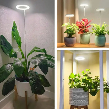 PlantGlow™ — True Sunlight for Indoor Growth Mivoza Deutschland