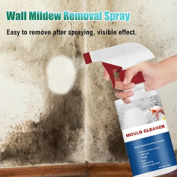 Buy 1 Get 1 | Deep-Cleaning Anti-Mold Spray – Foaming Action with Penetrating Power Homezys
