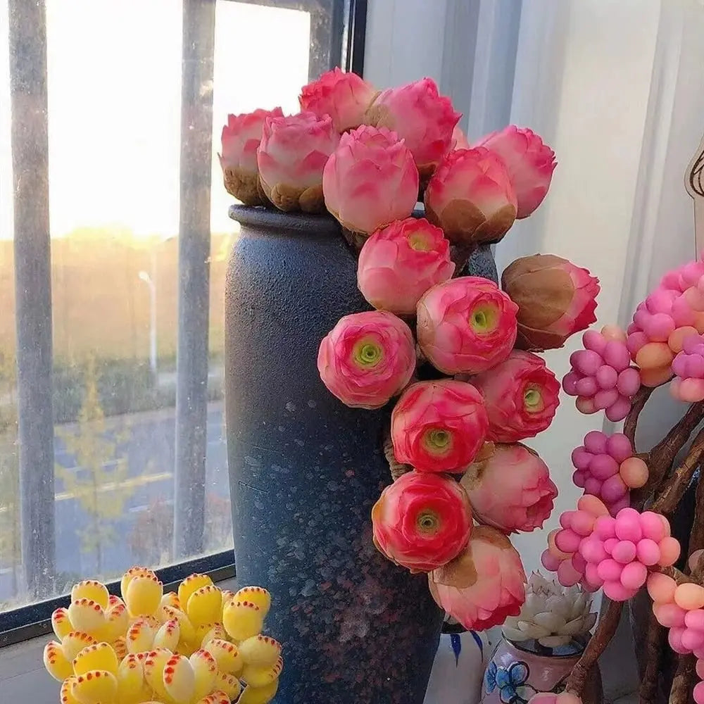 MountainRose™ — Effortless Beauty That Thrives Homezys