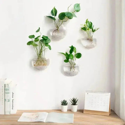 Buy 1 Get 1 Free | ClearNest™ — Elegant Glass Wall Planters Mivoza Deutschland