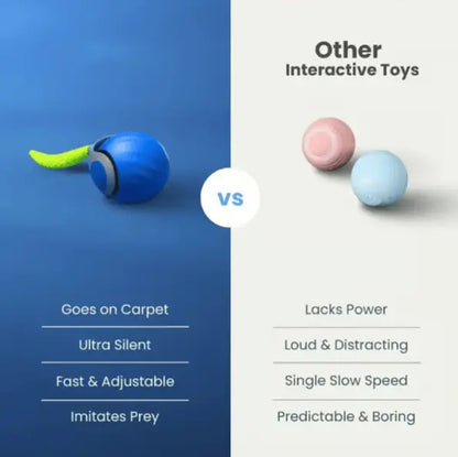 🔥Interactive Electric Rolling Ball with Teasing Tail Zorenza