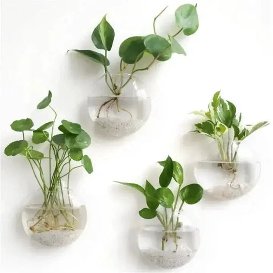 Buy 1 Get 1 Free | ClearNest™ — Elegant Glass Wall Planters Mivoza Deutschland