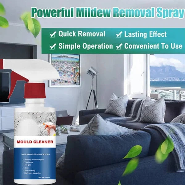 Buy 1 Get 1 | Deep-Cleaning Anti-Mold Spray – Foaming Action with Penetrating Power Homezys
