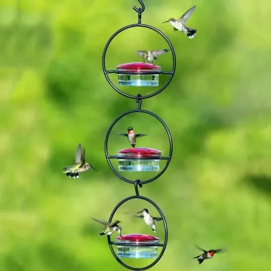 🎉Slim hummingbird feeder Zorenza