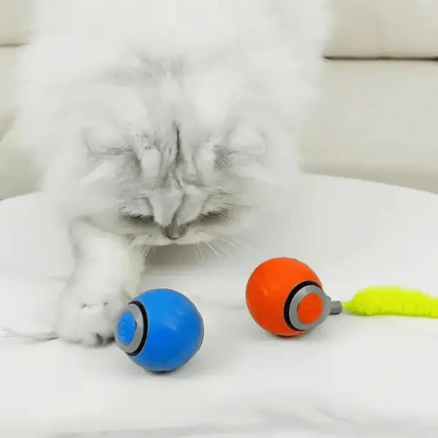 🔥Interactive Electric Rolling Ball with Teasing Tail Zorenza