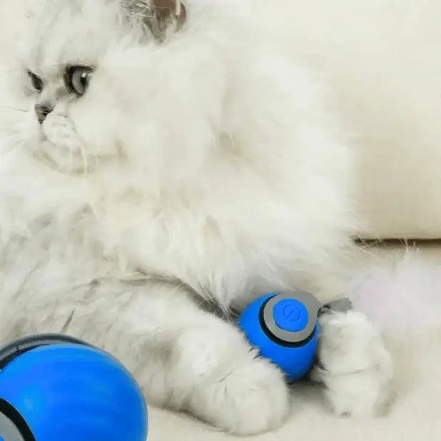🔥Interactive Electric Rolling Ball with Teasing Tail Zorenza