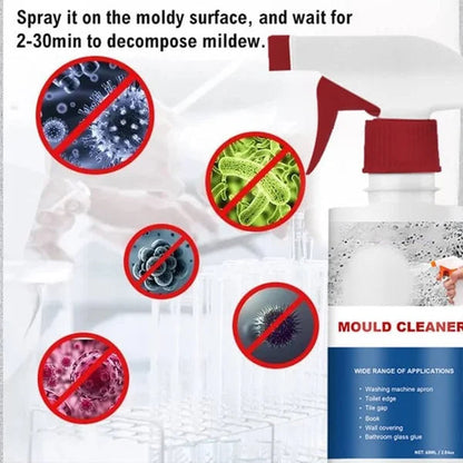 Buy 1 Get 1 | Deep-Cleaning Anti-Mold Spray – Foaming Action with Penetrating Power Homezys
