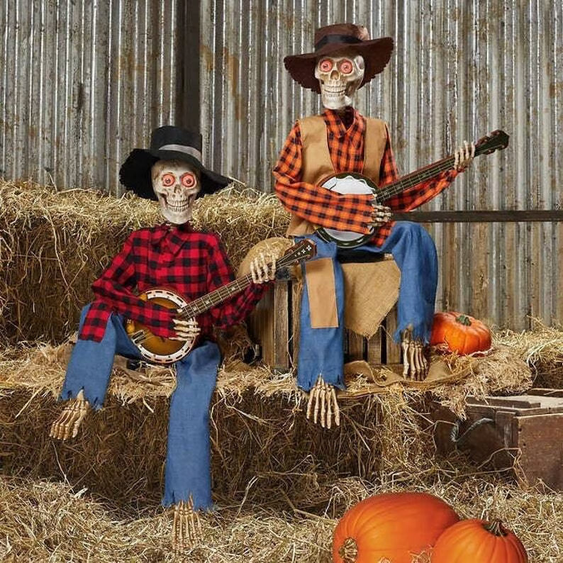 Animated Banjo Duo — Brings Unforgettable Celebration Joy Homezys