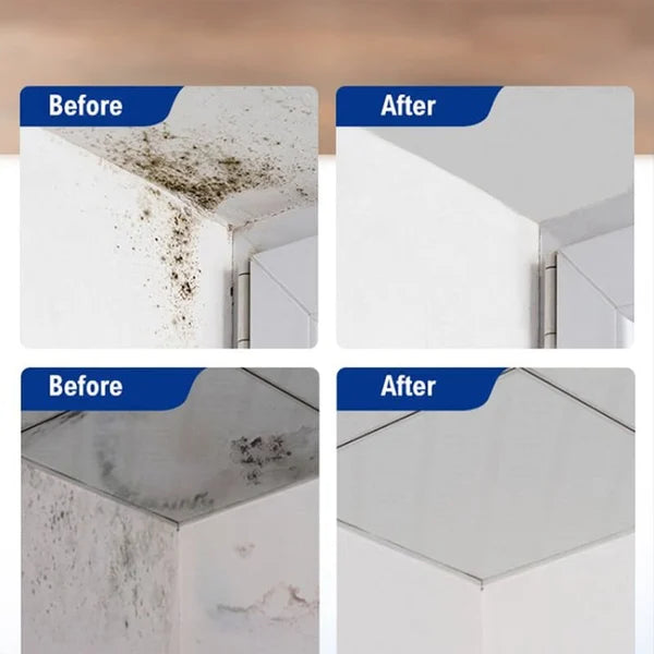 Buy 1 Get 1 | Deep-Cleaning Anti-Mold Spray – Foaming Action with Penetrating Power Homezys