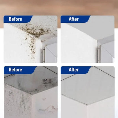 Buy 1 Get 1 | Deep-Cleaning Anti-Mold Spray – Foaming Action with Penetrating Power Homezys