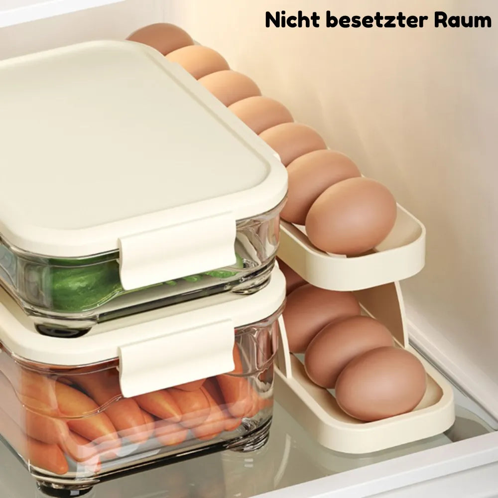 Egg Storage Rack – Space-Saving Egg Storage with Easy Access Homezys