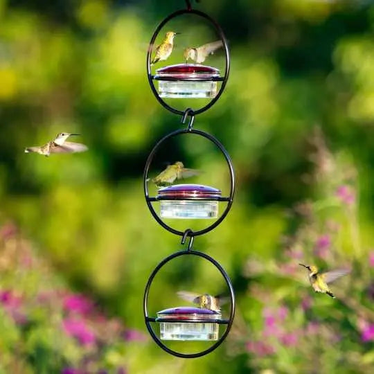 🎉Slim hummingbird feeder Zorenza