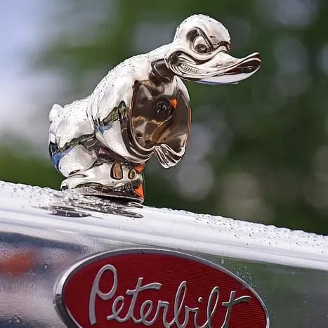🔥 Angry Duck Hood Ornament Death Proof Zorenza
