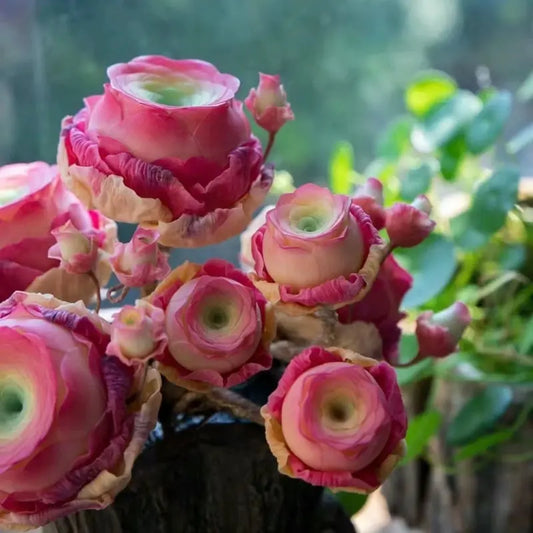 MountainRose™ — Effortless Beauty That Thrives Homezys
