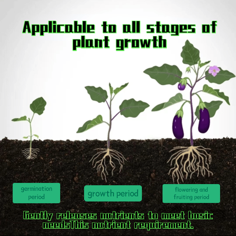 Plant Fertilizer Sticks – Long-Lasting Fertilizer for Healthy Growth Homezys