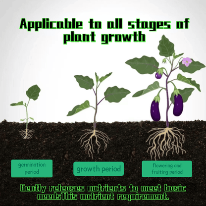 Plant Fertilizer Sticks – Long-Lasting Fertilizer for Healthy Growth Homezys