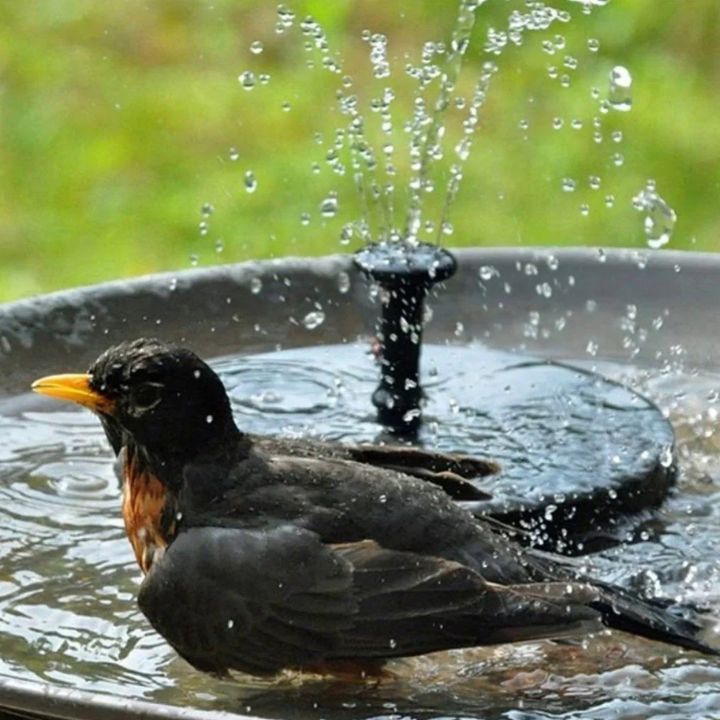 Solar-powered floating garden fountain Homezys
