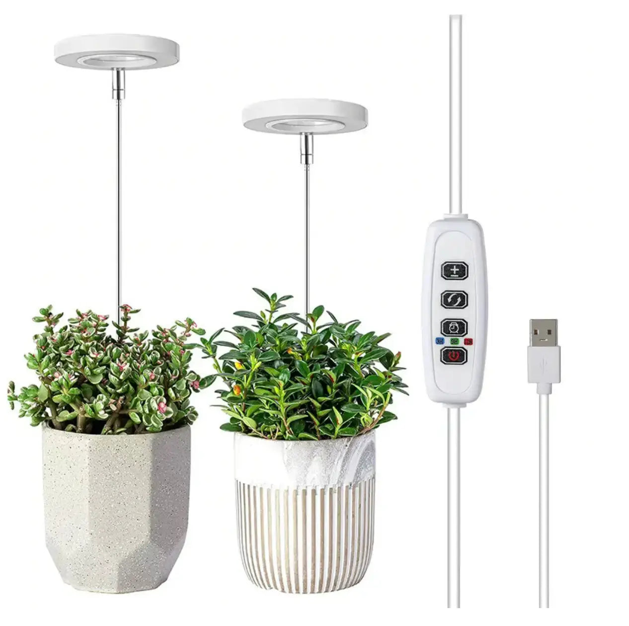 PlantGlow™ — True Sunlight for Indoor Growth Mivoza Deutschland