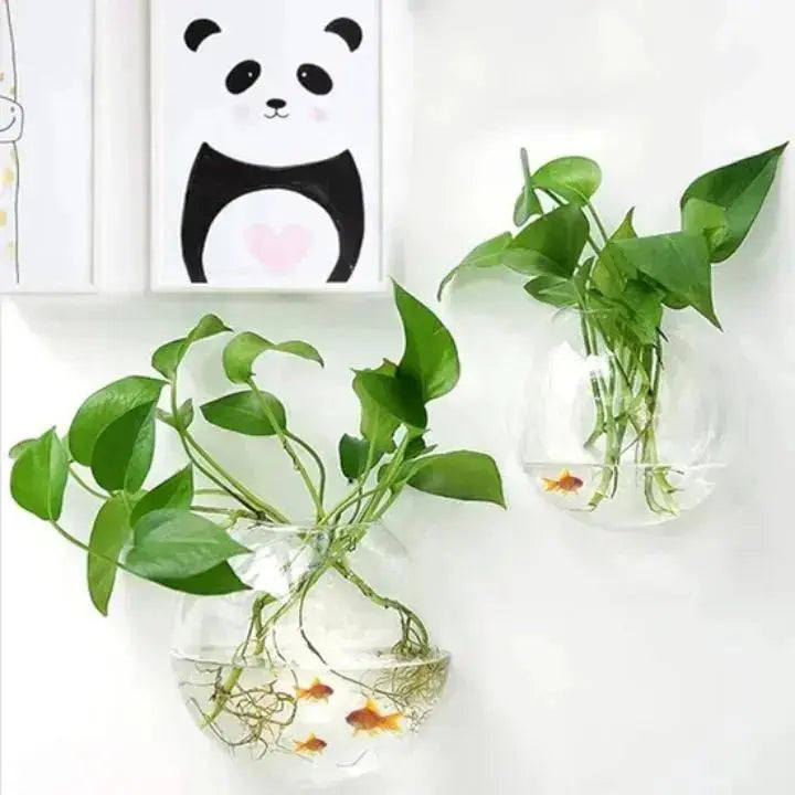 Buy 1 Get 1 Free | ClearNest™ — Elegant Glass Wall Planters Mivoza Deutschland