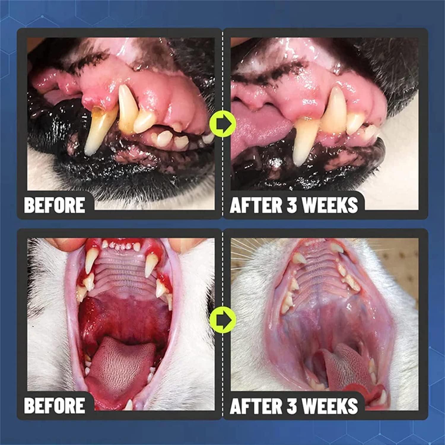 Natural Dental Spray for Pets - Eliminates bad breath, remove tartar & gum disease Homezys