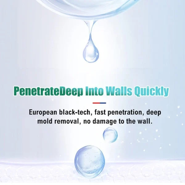 Buy 1 Get 1 | Deep-Cleaning Anti-Mold Spray – Foaming Action with Penetrating Power Homezys