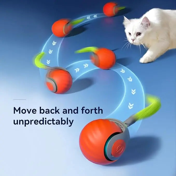 Interactive electric play ball with wagging tail - For hours of fun for your Zorenza cat