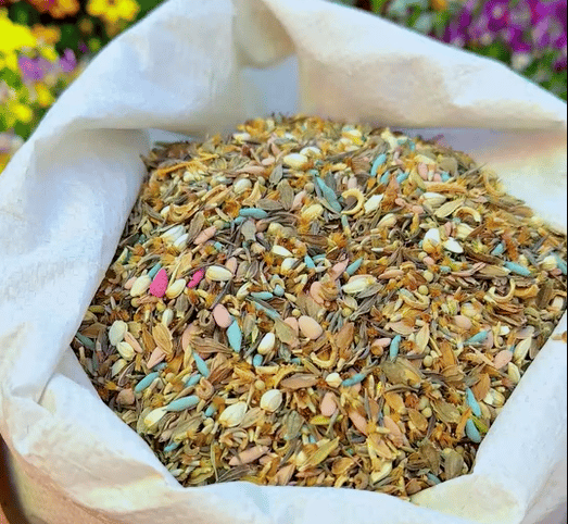 1000 Seeds Perennial Flower Mix | 60+ Varieties for Year-Round Beauty & Biodiversity Homezys