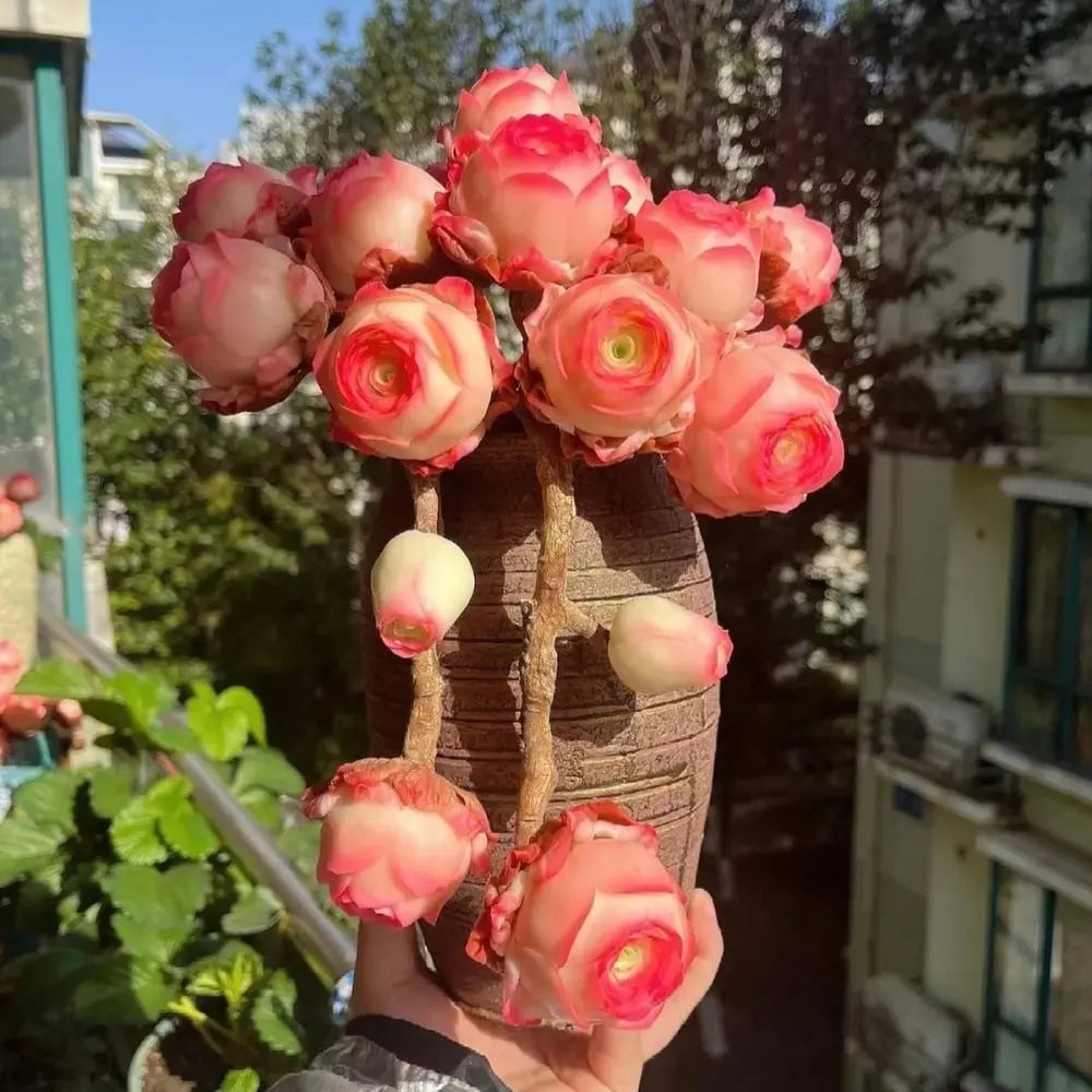 MountainRose™ — Effortless Beauty That Thrives Homezys