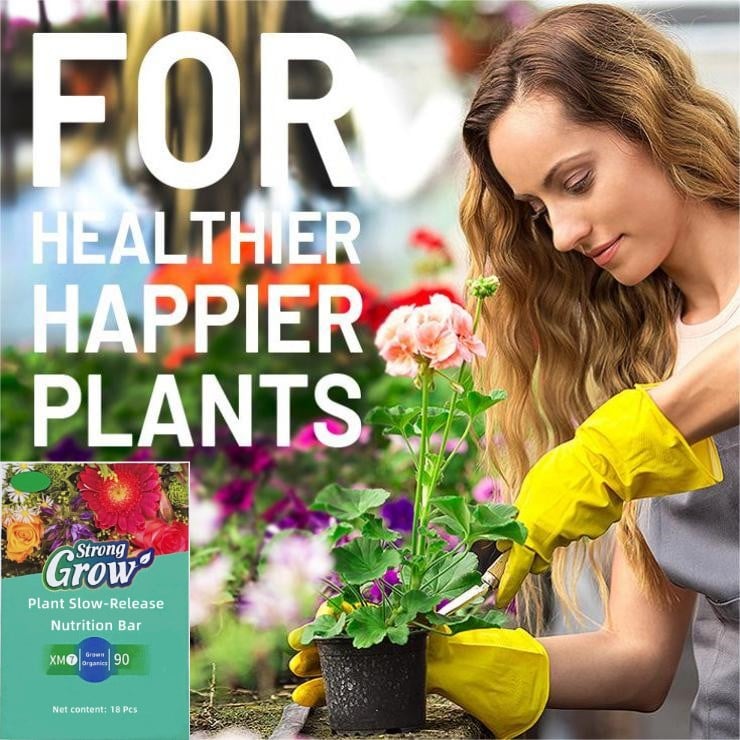 Plant Fertilizer Sticks – Long-Lasting Fertilizer for Healthy Growth Homezys