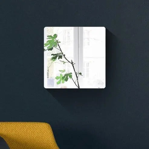 🎁Acrylic Wall Mirrors Zorenza