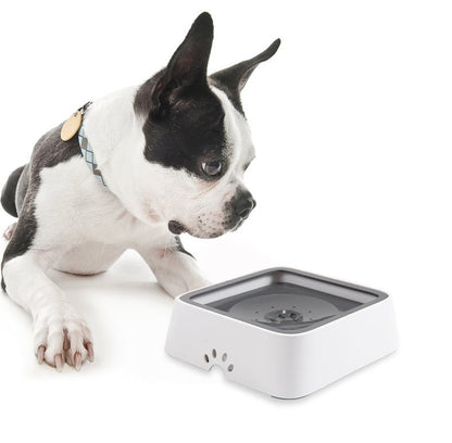 2 Liter Splash-Free Water Dispenser for Pets – Cleaner Floors, Healthier Pets Homezys