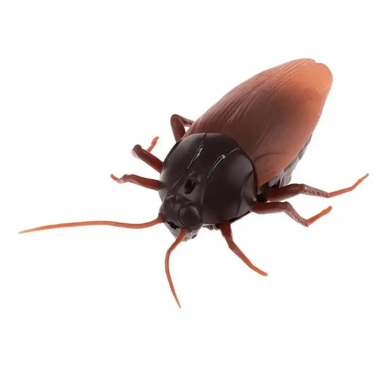 💥LAST DAY SALE 💥 Remote Control Cockroach - Electric & Remote Control Toy Zorenza
