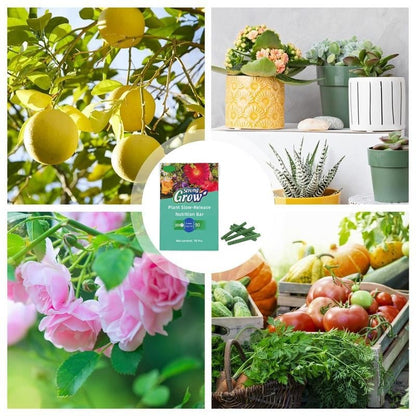 Plant Fertilizer Sticks – Long-Lasting Fertilizer for Healthy Growth Homezys