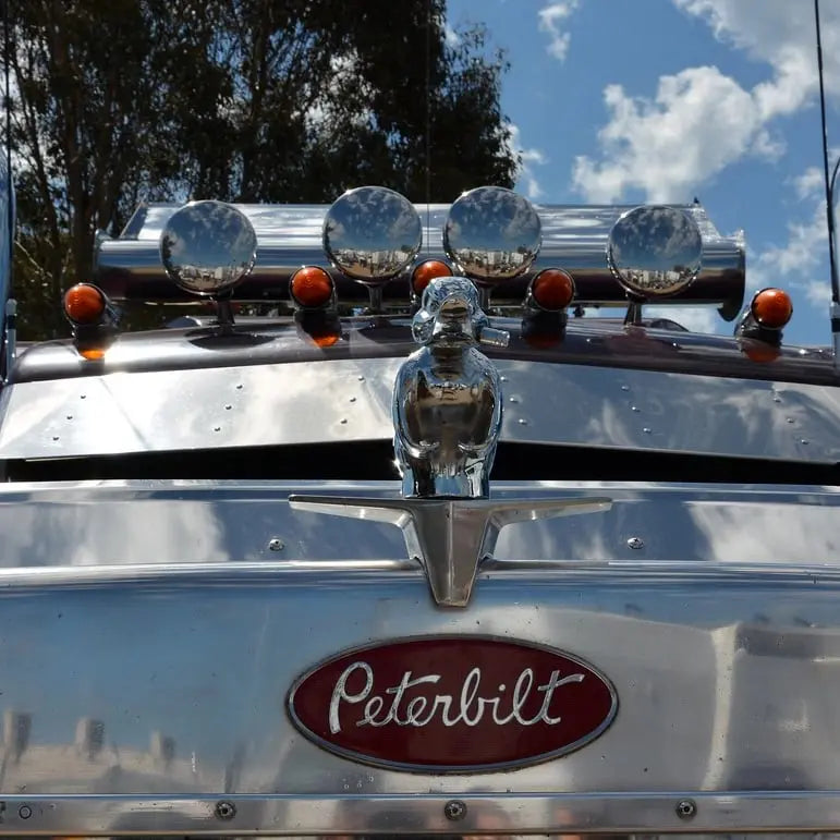 🔥 Angry Duck Hood Ornament Death Proof Zorenza
