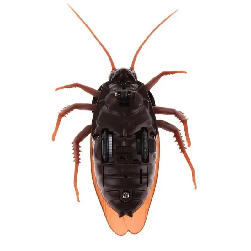 💥LAST DAY SALE 💥 Remote Control Cockroach - Electric & Remote Control Toy Zorenza