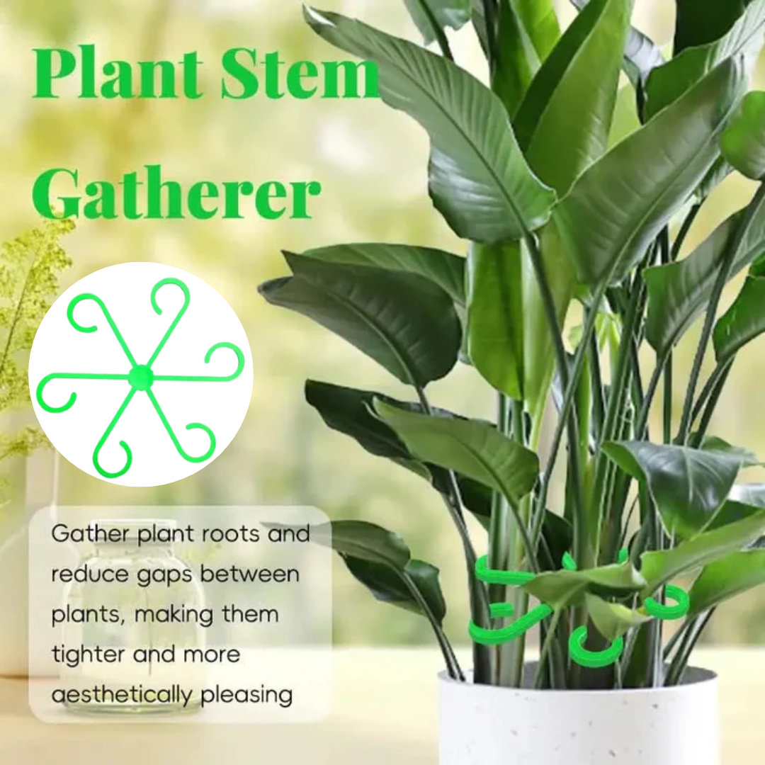 Plant Stem Stabilizer Set – For Healthy Growth & Secure Support Homezys