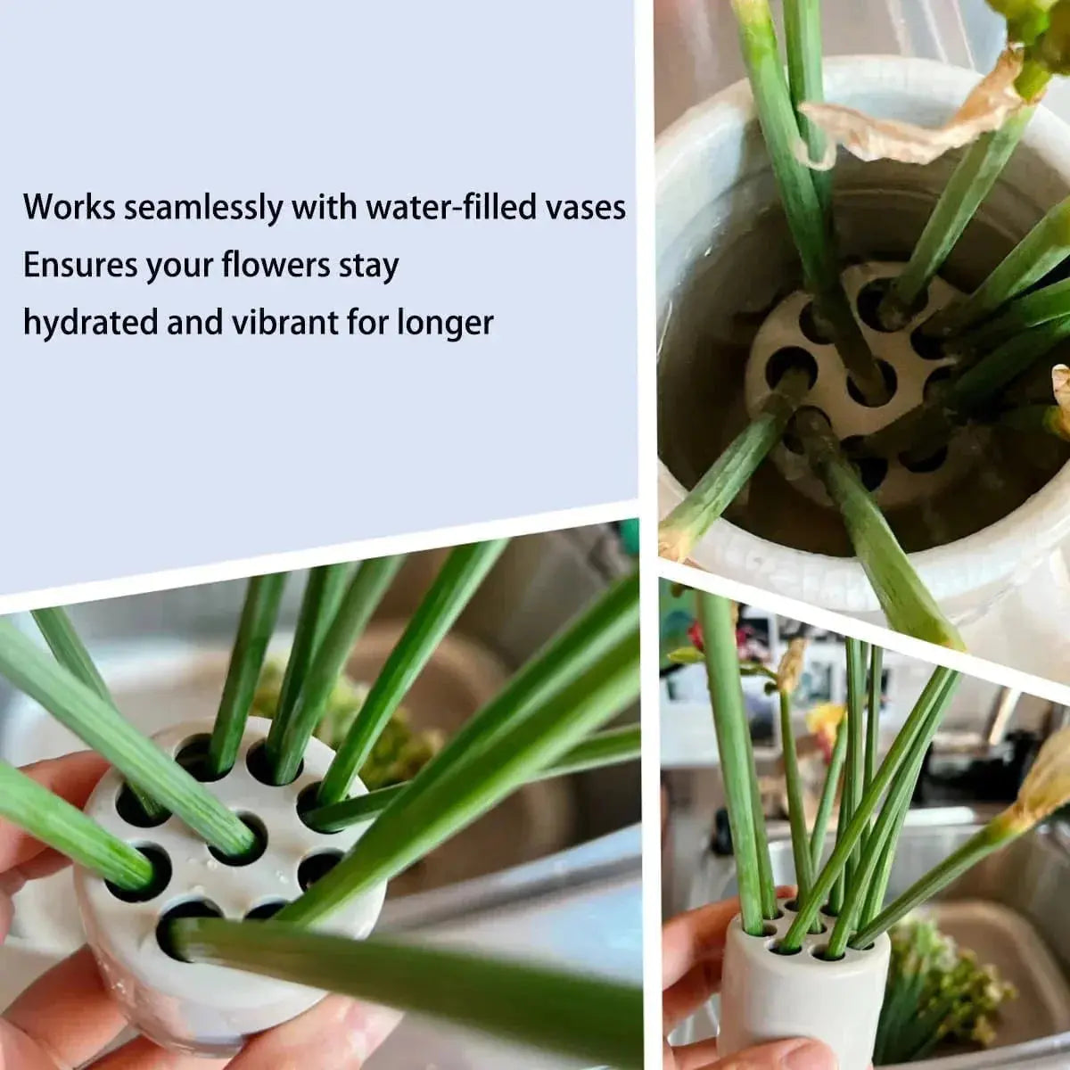 1+1 Free | DIY Spiral Flower Stem Holder - Effortless Flower Arrangements Zorenza