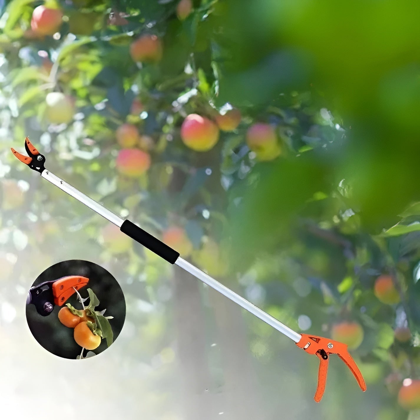CutterPro™ Telescopic Tree Pruner – Trim Branches & Pick Fruit Without a Ladder Homezys