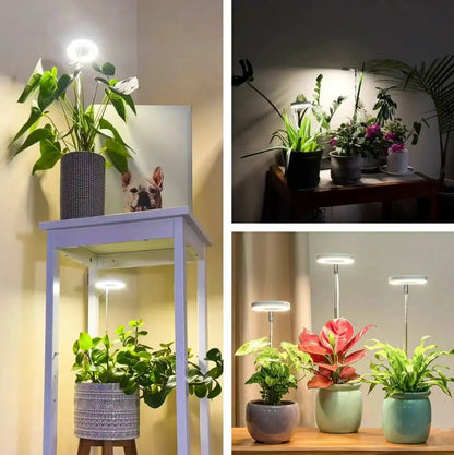 PlantGlow™ — True Sunlight for Indoor Growth Mivoza Deutschland