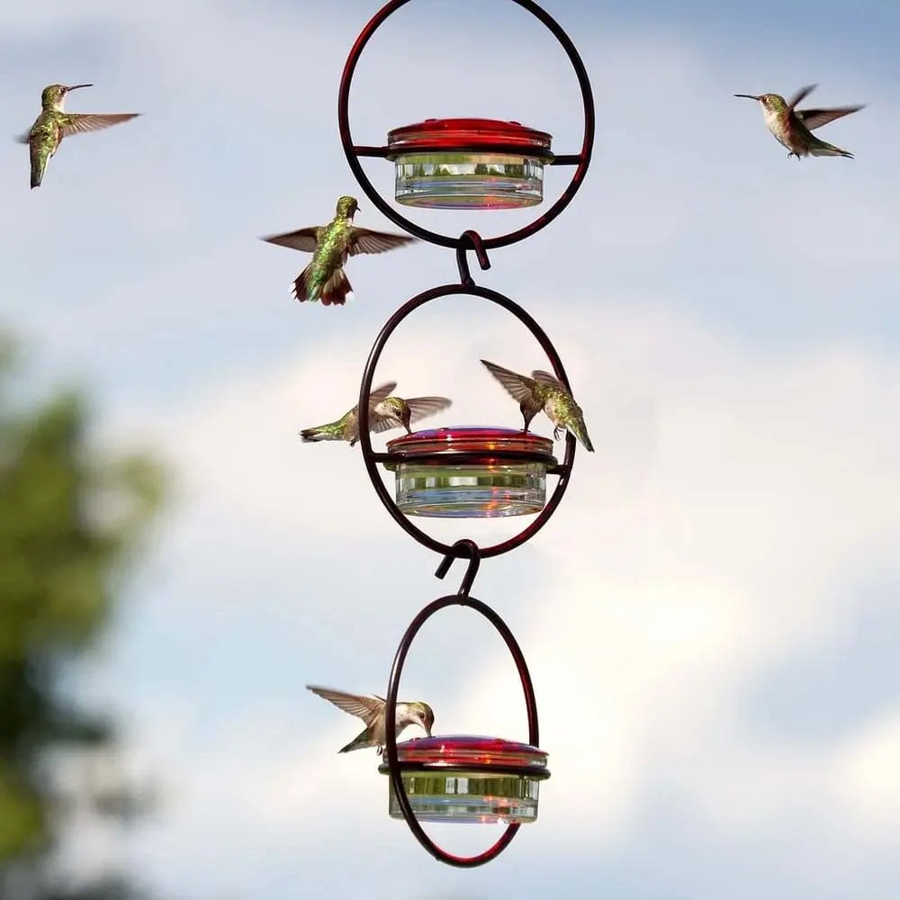 🎉Slim hummingbird feeder Zorenza