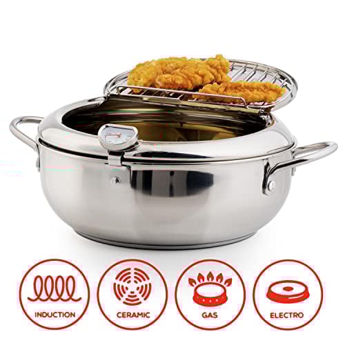 Stainless Steel Deep Fryer — Enjoy Crispy, Save Fat Homezys