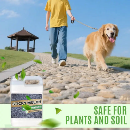 Landscape Adhesive — Fast Drying, Weather-Resistant Fixative Homezys
