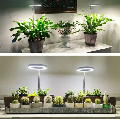 PlantGlow™ — True Sunlight for Indoor Growth Mivoza Deutschland