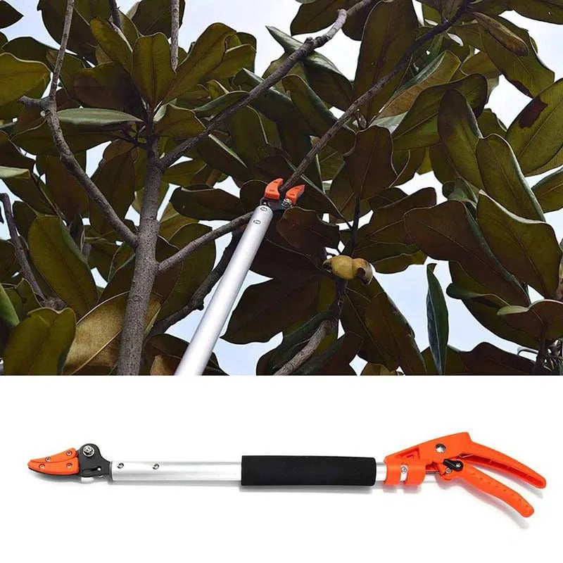 CutterPro™ Telescopic Tree Pruner – Trim Branches & Pick Fruit Without a Ladder Homezys