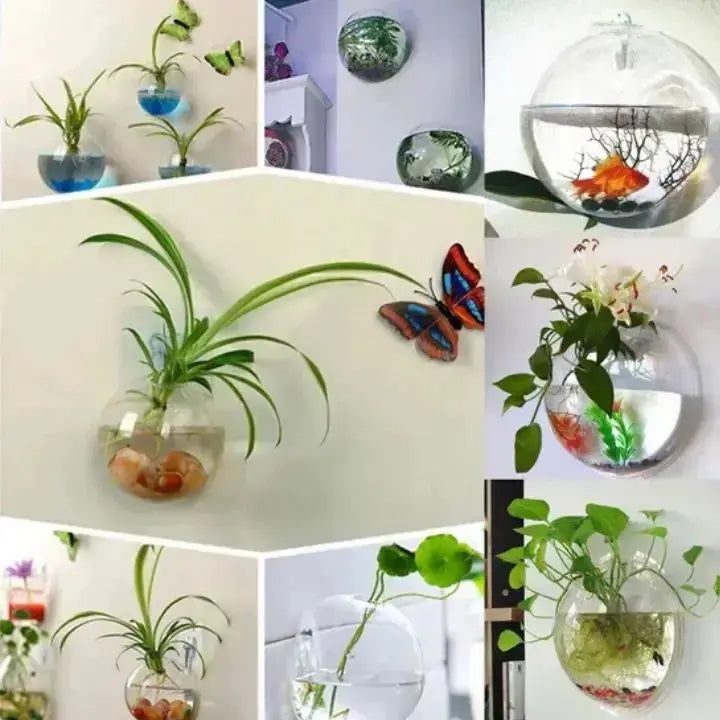 Buy 1 Get 1 Free | ClearNest™ — Elegant Glass Wall Planters Mivoza Deutschland